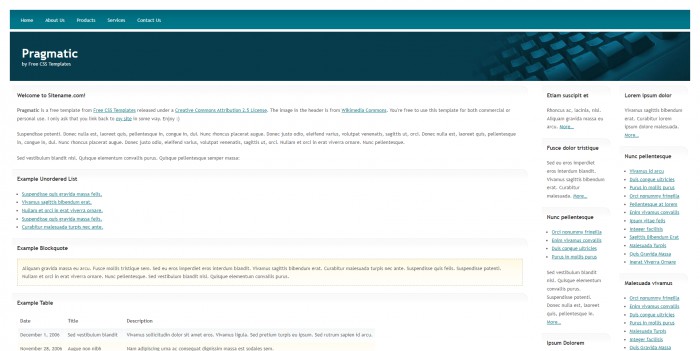实用软件公司网页模板